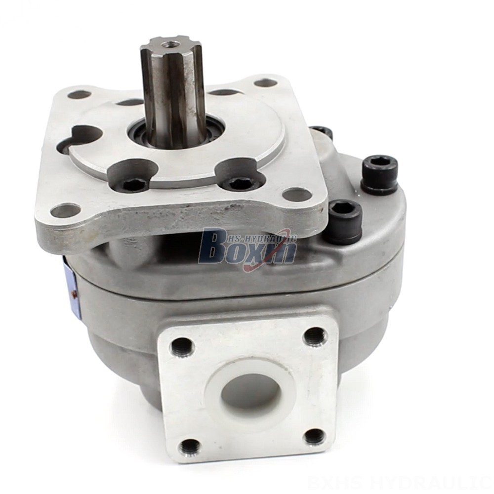 CBHS-F550 50 cc/rev Hydraulic Gear Pump: Manufacturer & Global Supplier cover photo