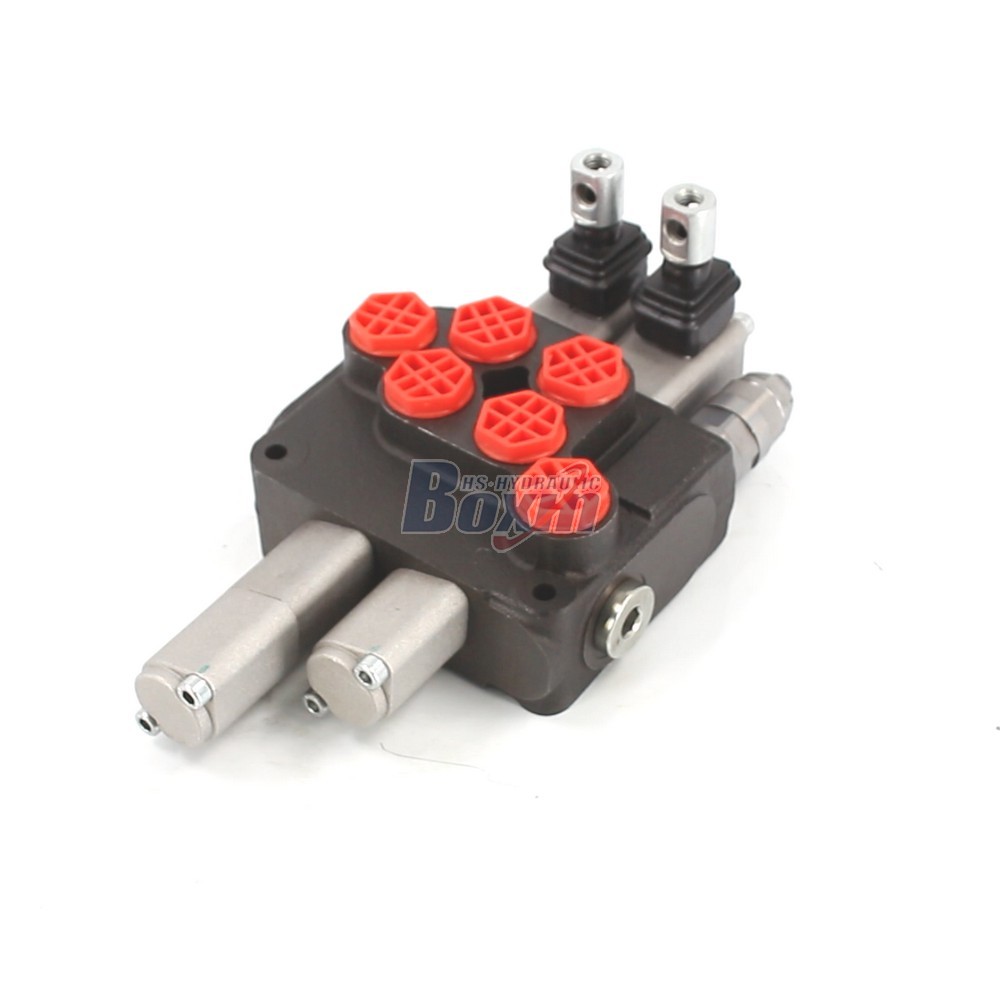 DCV20 Manual Hydraulic Monoblock Valve with 2 Spool Configuration cover photo