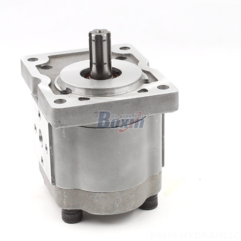 Private Label Hydraulic Gear Pumps: NSH-10 Series with Your Brand Name cover photo