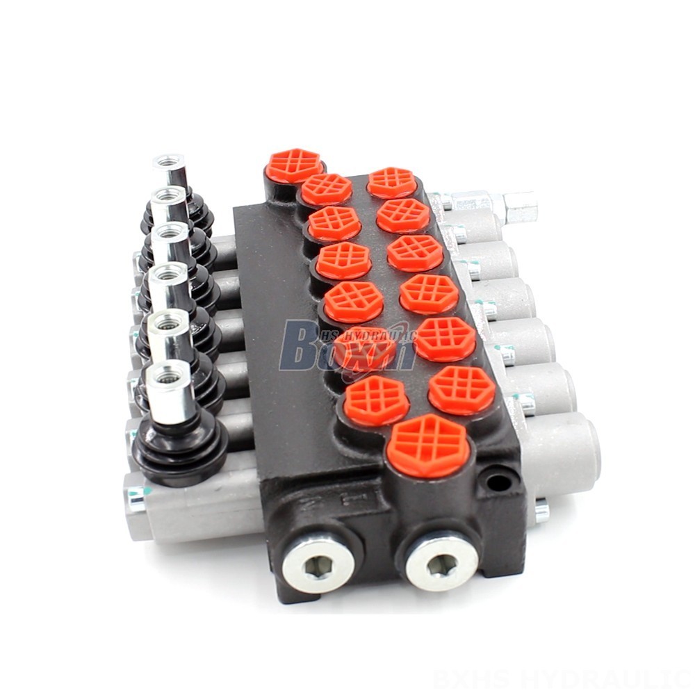 Private Label Hydraulic Valves | Enhance Your Brand Value with P40-G12-G38 Valves cover photo