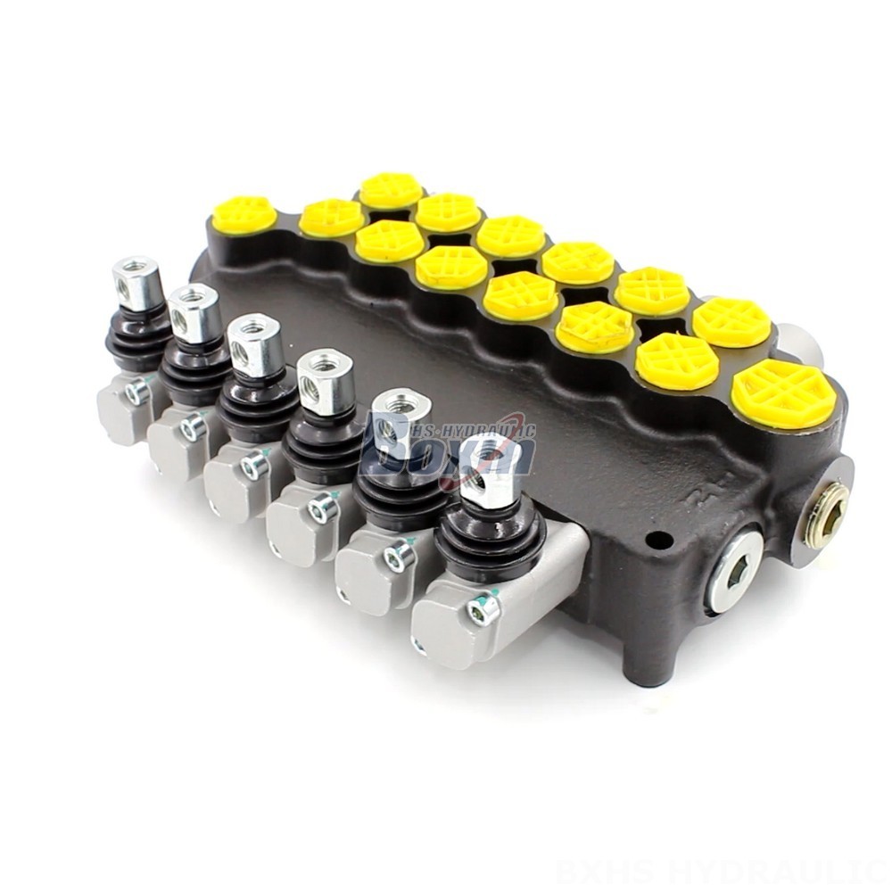 P80-G12-G34-6OT Manual 6 Spool Monoblock Directional Valve Manufacturer cover photo